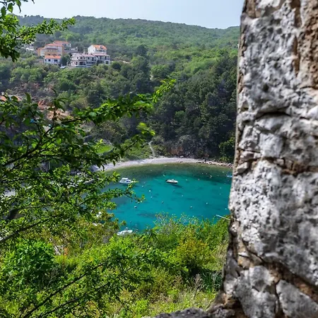 Verbenia
