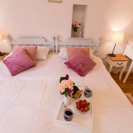 Verbenia 비르브닉