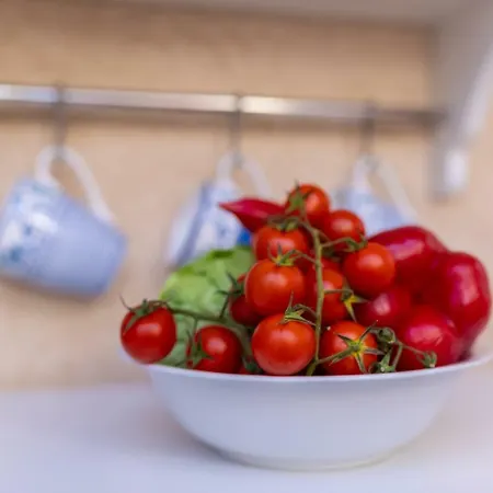 Verbenia 비르브닉